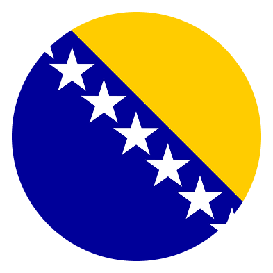 Bosnia Flag