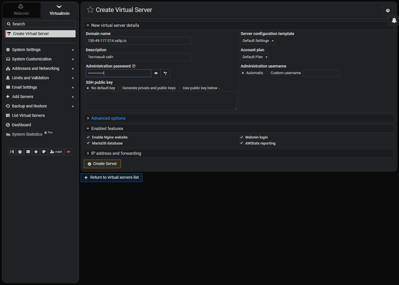 Форма Create Virtual Server с заполненным доменом, описанием и паролем